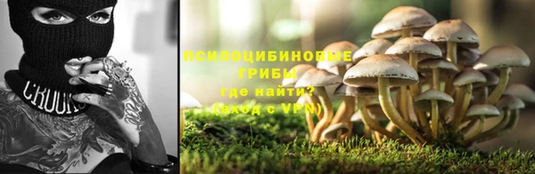 тгк Богданович
