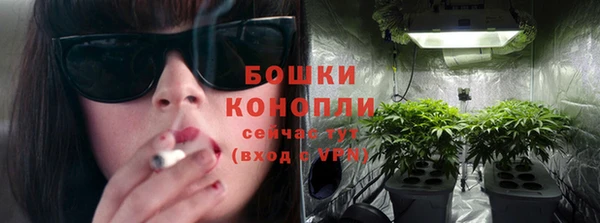 тгк Богданович