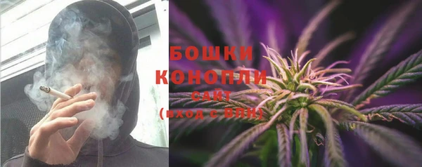 стаф Богородицк