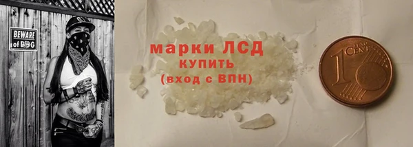 прущие грибы Покров