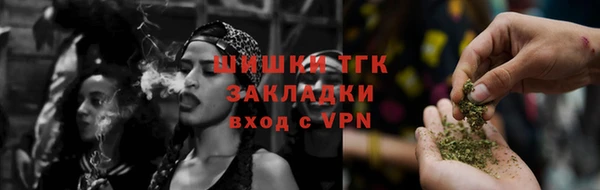тгк Богданович