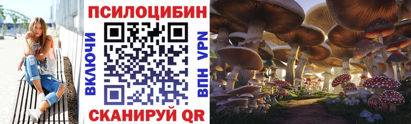 даркнет сайт  Козьмодемьянск  Галлюциногенные грибы мухоморы 